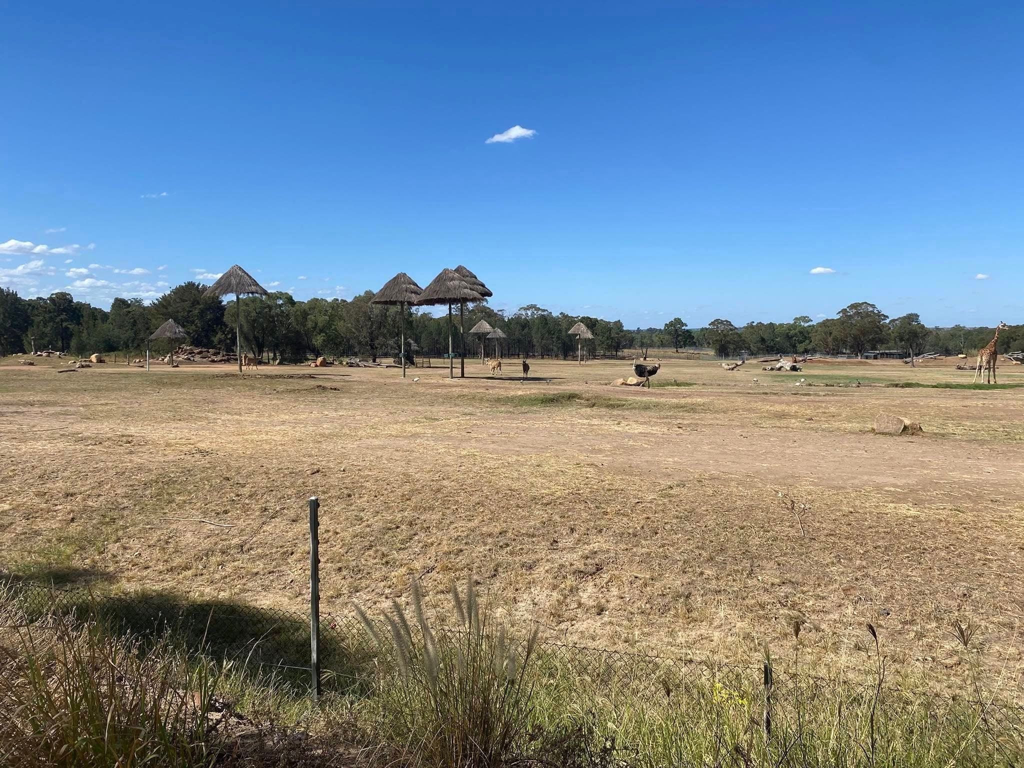 Dubbo Zoo 2025 Image -67de04bba2cb1